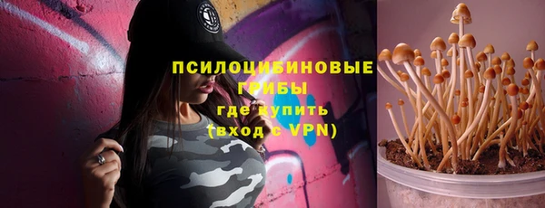 тгк Алексин