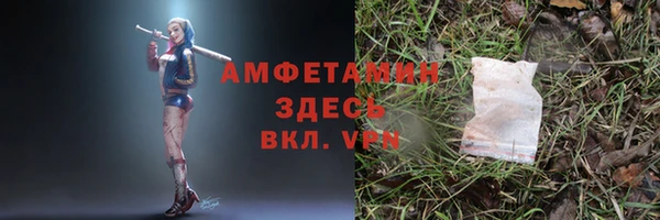 гашик Алексеевка