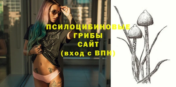 гашик Алексеевка