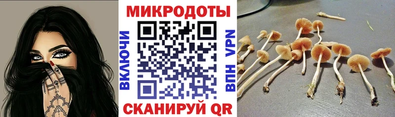 blacksprut ССЫЛКА  Новоалтайск  Галлюциногенные грибы Psilocybe 